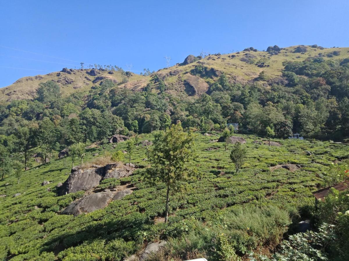 Tea Dale - All Rooms With Tea Estate View Munnar Exterior foto